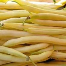 新鲜黄金钩油豆角种籽勾勾黄豆角种子勾勾黄豆角新鲜搭架种子大全