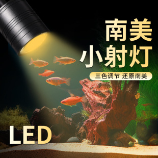 Player Baby South American Spotlights Fish Tank Lights Special Lighting Native Stream Small Tank Lights Aquarium Watching Led Lights