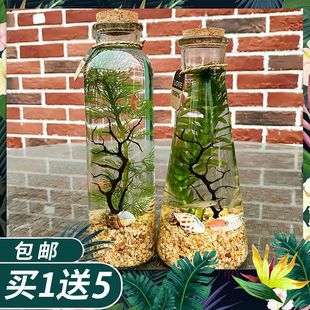 ���Bƿ���R�~�ⲻ�Qˮ���~���B����ƿ�^�p���~�ᎧС�͵���ˮ