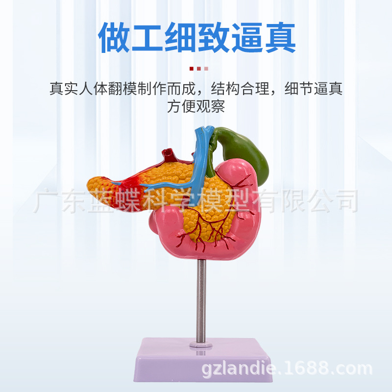 ��ѧ������������ʮ��ָ�����Ҳ���ģ�� ����ʯ�������ϵͳ�̾�