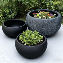 ���״�̖�N��ˮ�໨�� ���@�����w�S�� ���w�Nֲ����͸��A�λ���