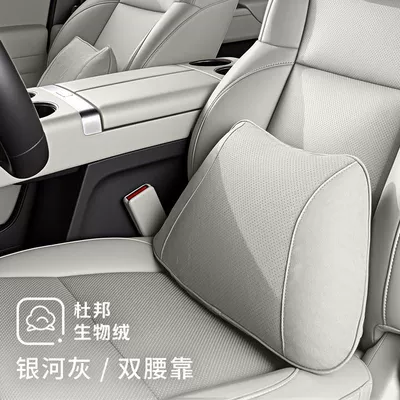 Headrest, New Car Headrest, Ideal - dupont-bio-fleece-2-lumbar-supports-galaxy-gray