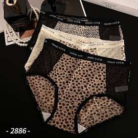 三条装魅丽翘蕾丝豹纹冰丝内裤女包臀无痕性感中腰三角裤女网纱