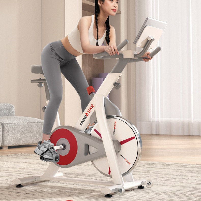 Lijiujia D300C casa interior ciclismo dinámico bicicleta pequeña deportes fitness montaña al aire libre