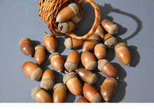 ��������Ǻ�DIY������Ȼ��������ɹ����