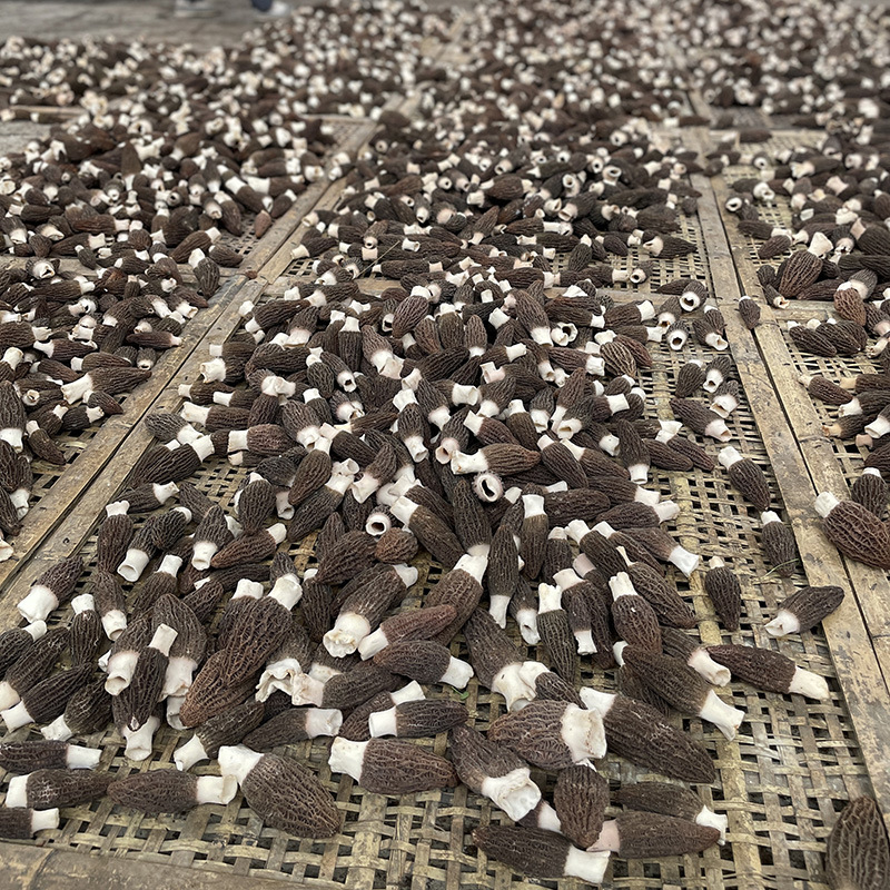 微信图片_202303281653225