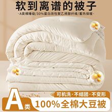 ����ᱣů�����޴󶹱�30%���׸��Ծ���ϩ���w�Sȫ�ޱ��ӱ�о��