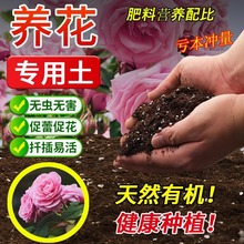 �I�B���B��ͨ���ͷN�˷N�����û��������⻨�ܷNֲ�����ЙC��̿��