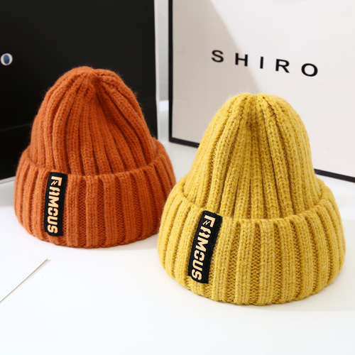 Winter Hat Korean Style Versatile Fashion Long Brim Woolen Hat for Winter Trendy and Warm Ear Cover Knitted Hat