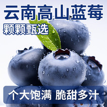 ����S���|����ϸ�ɽ�{ݮ�r�����rˮ�������������w�{÷����Ї�