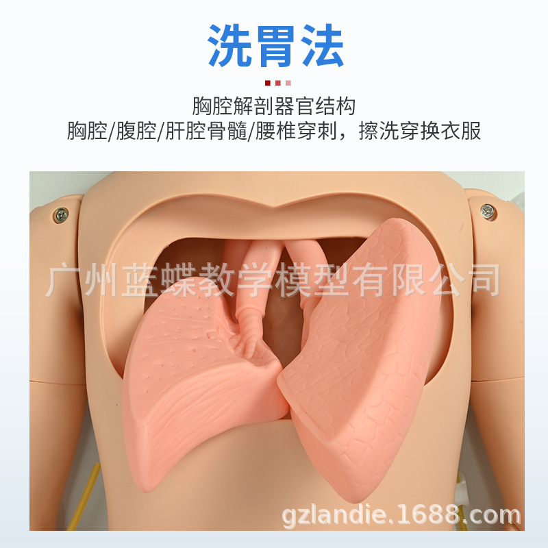 ҽѧģ����ģ�Ͷ๦�ܻ�������ģ�ػ�����ѵ������Ƥ�����ķθ���