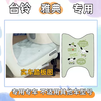 decorative non-slip electric vehicle wire: Electric vehicle foot mat - foot-mat-with-velcro-pacha-dog-green-tai-ling-athens