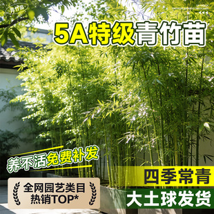 �ļ�����������ͥԺ����������ֲ���L�����������������ֱ�l