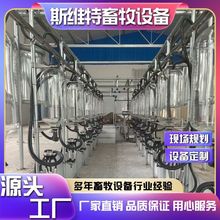 厂家定制鱼骨式电子计量挤奶厅大型挤奶机牧场养殖场用挤奶便捷