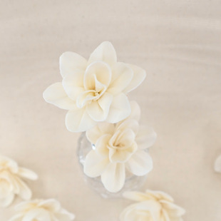 �F؛���l|5cm������ͨ�ݻ�  �Ҿ��b���ɻ��o����޹�U�㻨