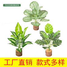 厂家直销仿真12头龟背叶 竹芋叶 大叶子绿植盆栽 仿真植物墙配材