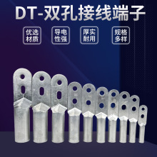 DTLQ釺焊銅鼻子雙孔接線端子銅鍍錫鼻子冷壓電纜釺焊接頭接線鼻