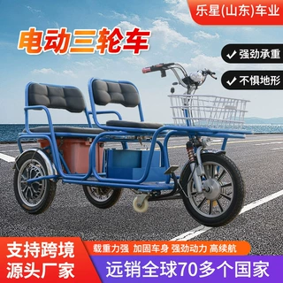 跨境老人代步电瓶车双排电瓶车客货两用接送孩子拉货电动三轮车