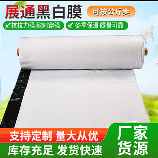 PE black and white film greenhouse film agricultural waterproof non-drip film double-sided black and silver polyethylene reflective cooling film