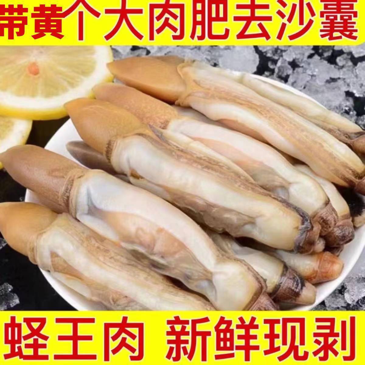 蛏王肉鲜活蛏子冷冻竹节蛏现剥海捕野生蛏子贝类海鲜水产批发商用