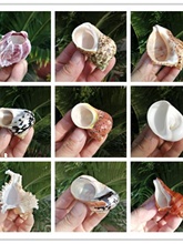 ��Ȼ����ؐ���G�ݼľ�з��ؐ�����~���ÓQ��ˮ���~���쾰�b[��