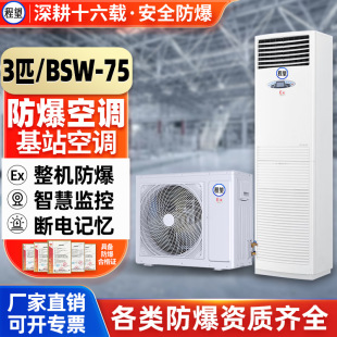 ����������վ���{3ƥ��ů�վ�C�����÷������ܿ��{����ʽBSW-75