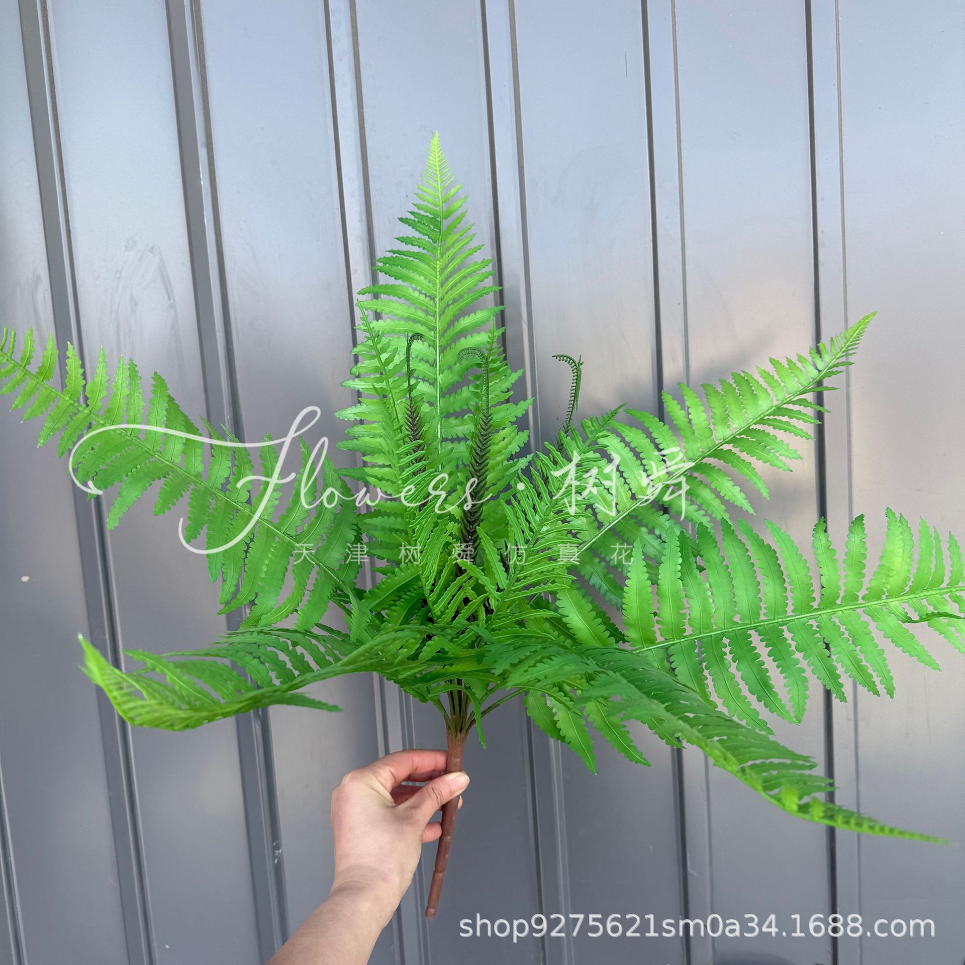 Un manojo de hojas de helecho persa.