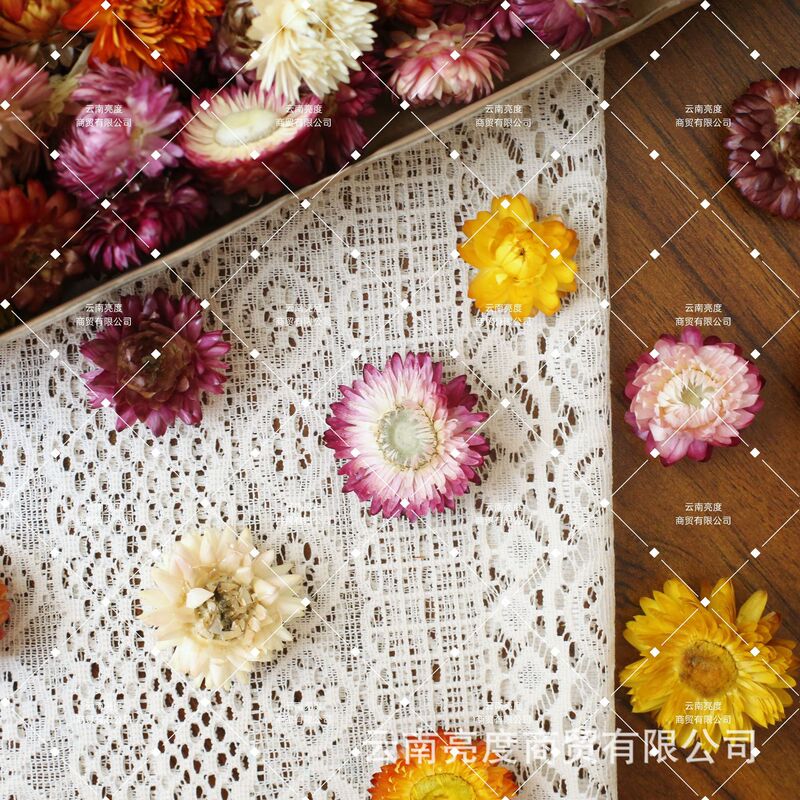 【小雏菊 麦秆菊】干花批发diy材料包真花花材手工拍照装饰七彩菊|undefined