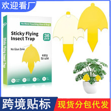 �¿�S����ճ�x�� �p���T�x���S���{�����ճ�x�� �@�ֲ��x�N