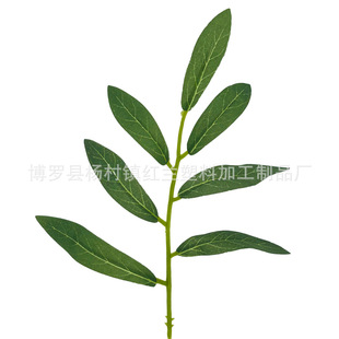 �S�����l�٘��~�ȼ����~���~����~DIY�ֹ����~��������~��
