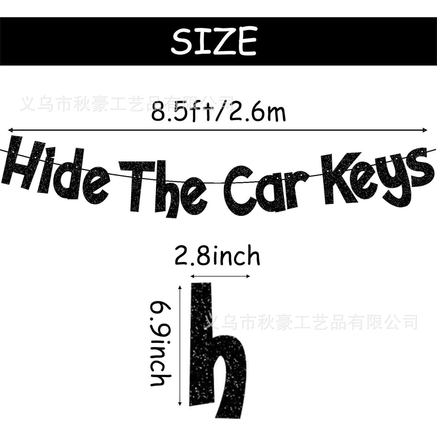 HIDE THE CAR KEYS BANNER FLIGHT BANNER NEGRO PARTY BANDER 2025 NUEVO