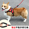 Dog traction pet chest strap outdoor walking dog explosion dog explosion dog chain small, middle large dog pet supplies
