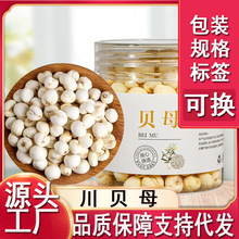 正宗四川贝母中四川阿坝正宗川贝母无硫原生态精选干货