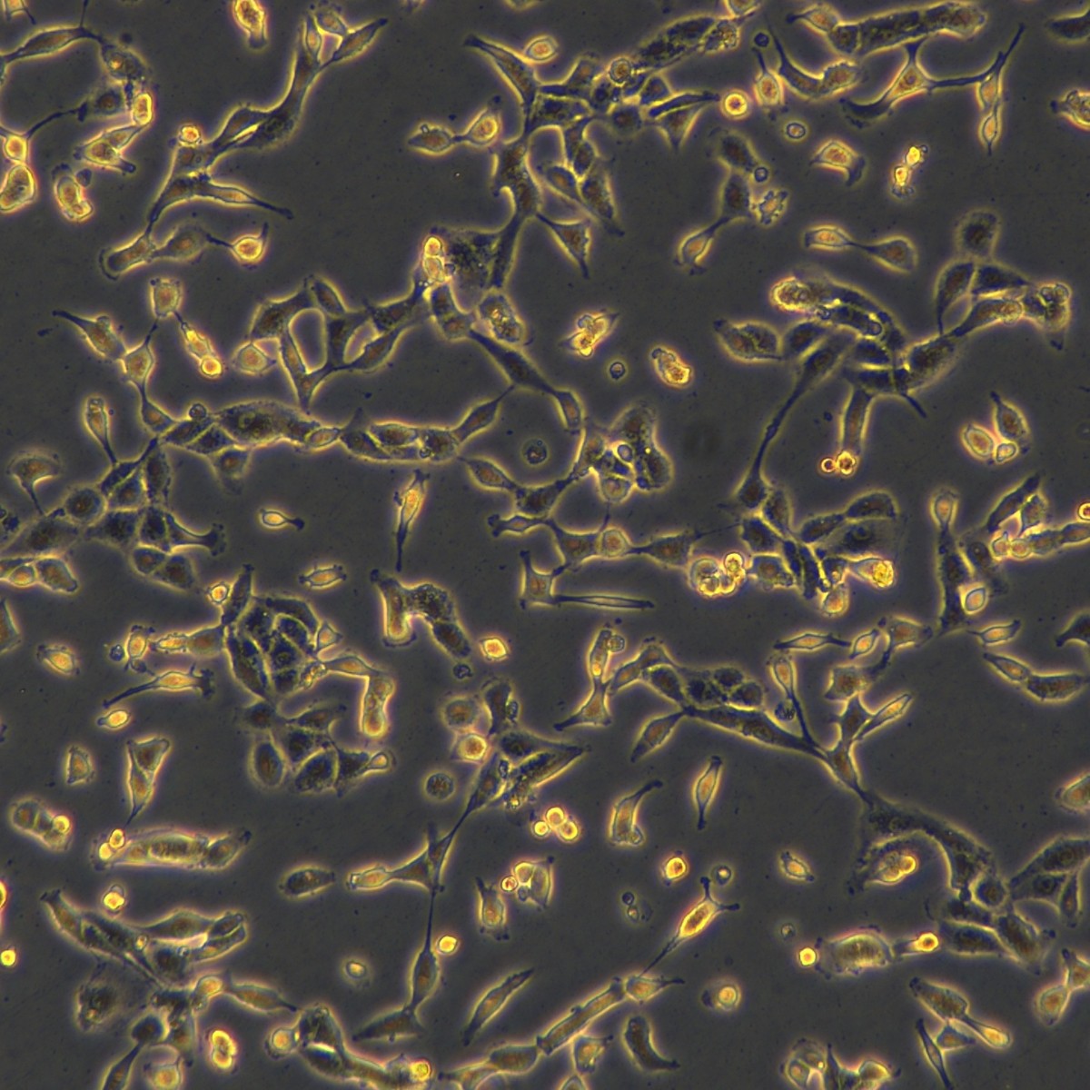 2025-11-05 15:21:20.jpg