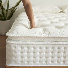 �����Ҿ����Ǽ�ϯ��˼���|ܛ���|��ܛ�Ƶ�ܛ�|����1.5�״��|28cm