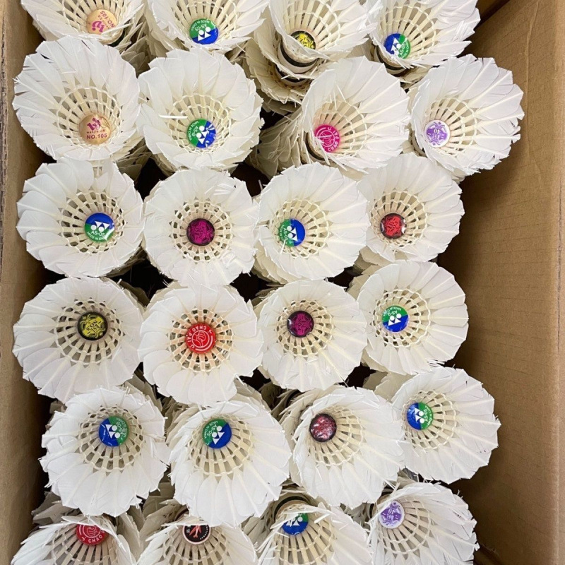 Used Badminton Shuttlecocks for Beginners Training, Shipped in a Bucket with Free Shipping