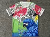 2526 Brazilian gray green red white blue parrot version