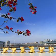 ʮ����Фӡ�½��ټ���t����Ͻ�ˇƷ��ƿ�w12�F�׾Ʊ����ټ�