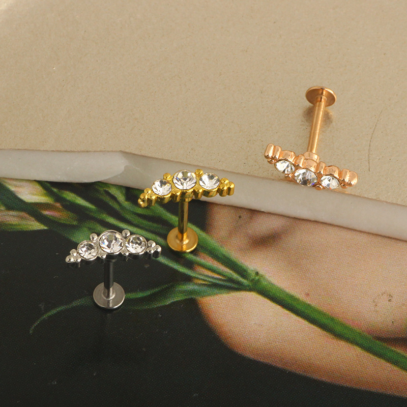 Holiday, Daily Occasion 304 Stainless Steel Material 1 Piece Simple Style Classic Style Leaf Inlay 304 Stainless Steel Zircon Ear Studs
