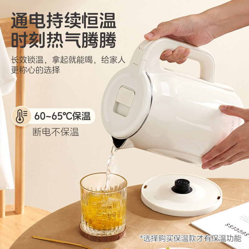 Hervir tetera pequeña hervidor de agua 2024 nuevo tipo de oficina hervidor de té doméstico hervidor de flores hervidor de agua eléctrica hervidor de agua al por mayor