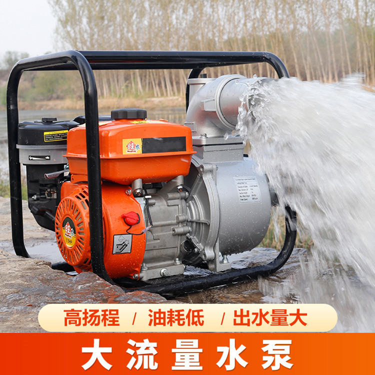 公园花草树木灌溉浇水抽水泵 2寸手抬式消防水泵 灌溉汽油机水泵