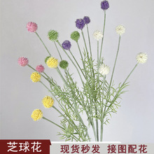 ����ٻ�4�^�S����Ҿ��b廨�[��С�������������仨�zӰ����