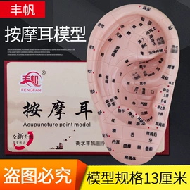 保健器具配件;经络保健器材;医药教学器材