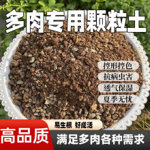 ���⌣���w��������ֲ��I�B���Gֲ�������ʯ�~�弃�w���Nֲ����