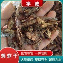 ���xΛ�Ƹɻ��x�ɺ������ɰ��`�˸箋ü���W�����Bʳ�Q����