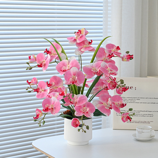 ���W����b�ˇ�g�[��2022�¿�����m�������҃ȼٻ���