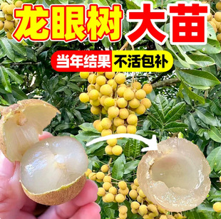 �V�����ۘ��m�޽Ӵ��������ļ�������ʯ�����A����Y���Ϸ�ˮ����
