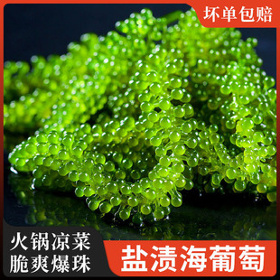 ���иۼ�ʳ�}�n���������r����˺���˴��Gɫ�~���u��˾�¾Ʋ�