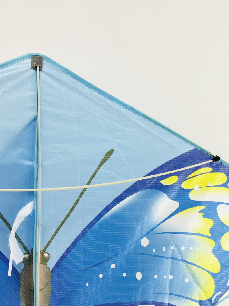 TD蝴蝶 宽145高98尾巴160厘米 (6).jpg