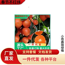 �������lɰ�ǽ��������o��ɰ������ɳ�ǽ��������箔��Y��